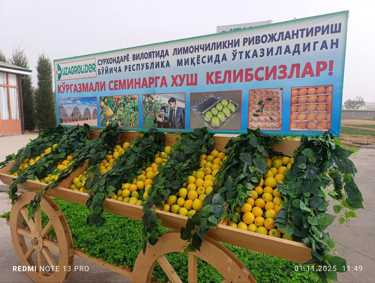 "LIMON HOSILI SAYLI" amaliy seminar